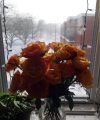 DSC00426
