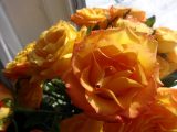 DSC00432