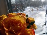 DSC00435