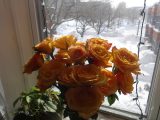 DSC00436