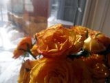 DSC00438