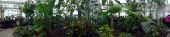 DSC00531.JPG