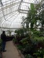 DSC00533.JPG