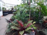 DSC00534.JPG