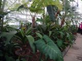 DSC00536.JPG