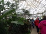 DSC00540.JPG