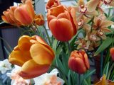 DSC00548.JPG