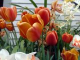 DSC00551.JPG