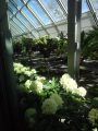 DSC00607.JPG