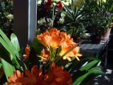 DSC00613.JPG