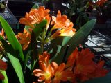 DSC00614.JPG