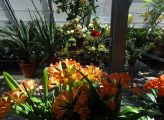 DSC00615.JPG