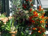 DSC00618.JPG