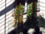 DSC00623.JPG