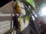 DSC00634.JPG