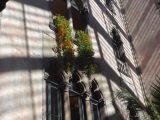 DSC00640.JPG