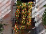 DSC00641.JPG