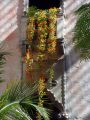 DSC00642.JPG