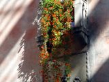 DSC00643.JPG
