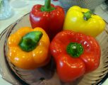 DSC00662.JPG