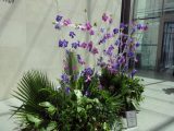DSC00722.JPG