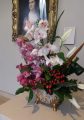 DSC00730.JPG