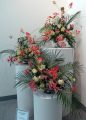 DSC00736.JPG