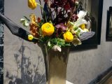 DSC00745.JPG