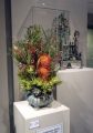 DSC00770.JPG