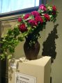 DSC00777.JPG