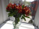DSC00816.JPG