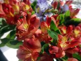 DSC00818.JPG