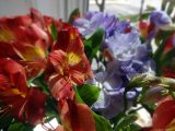DSC00820.JPG