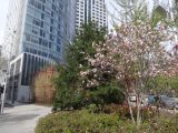 DSC00828.JPG