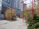 DSC00829.JPG
