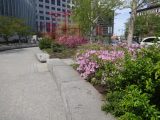 DSC00830.JPG
