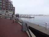 DSC00849.JPG