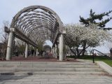 DSC00850.JPG