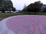 DSC00875.JPG