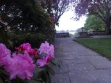 DSC00880.JPG