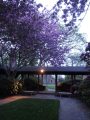 DSC00882.JPG