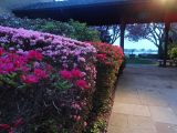 DSC00884.JPG