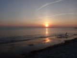 DSC00904.JPG