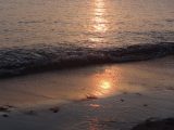 DSC00905.JPG