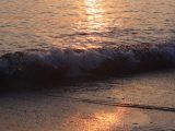DSC00907.JPG