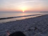 DSC00917.JPG