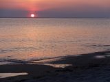 DSC00925.JPG