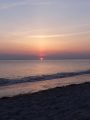 DSC00929.JPG