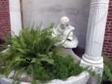 DSC01101
