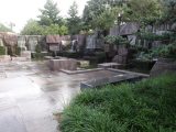 DSC01350